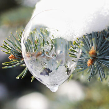 learn how to take winter crystal bubbles