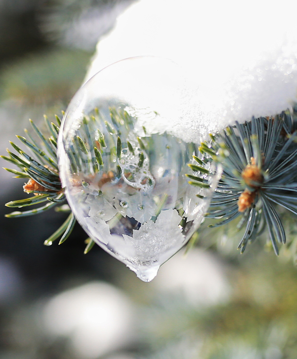 learn how to take winter crystal bubbles